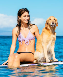 Chien et jeune femme sur une planche de surf
