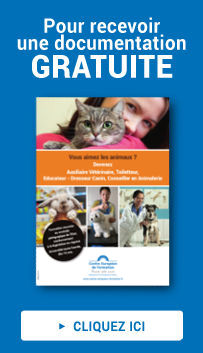 comment devenir vendeur d'animaux