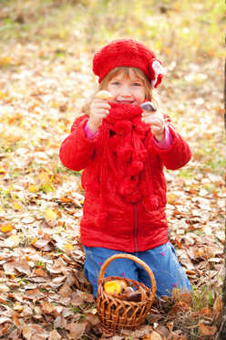 apprendre aux enfants les champignons comestibles