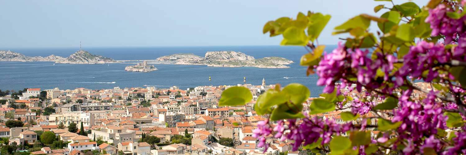 CAP Petite Enfance à Marseille