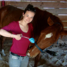 auteurs santé animale