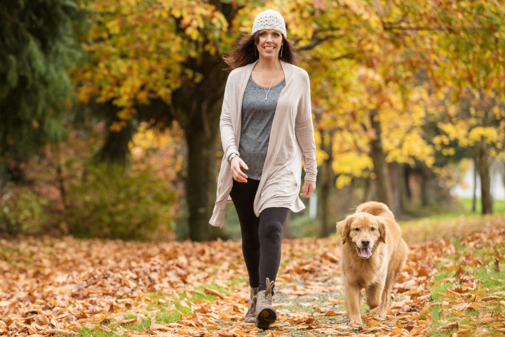 techniques apprendre rappel chien