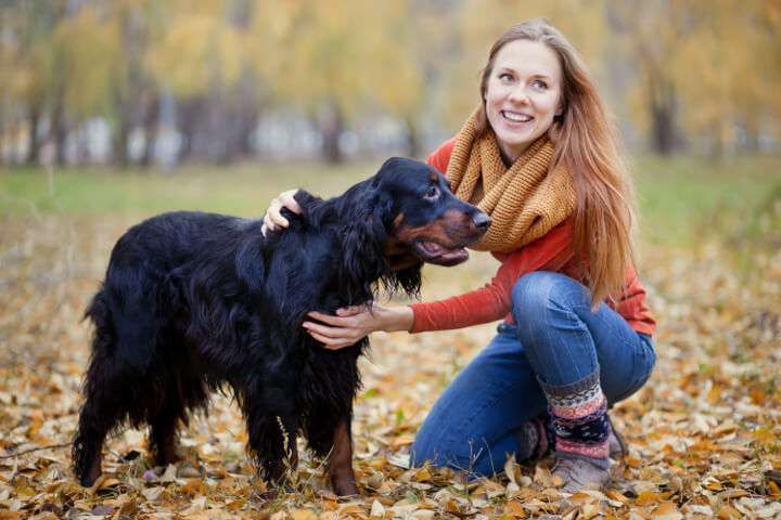 travailler avec les animaux