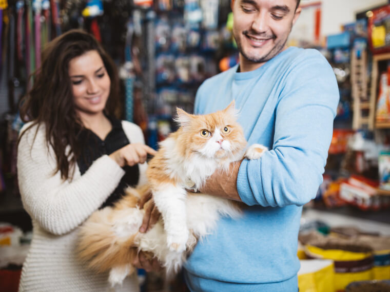 métier vendeur en animalerie