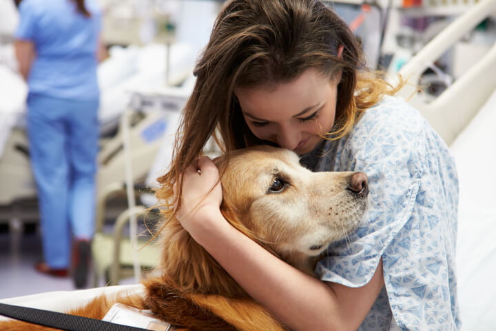 métier avec les chiens