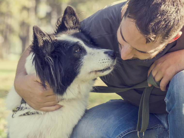 formations soins animaliers