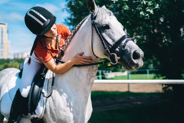 choisir son matériel d’équitation