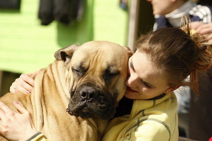 métier d'éducateur canin