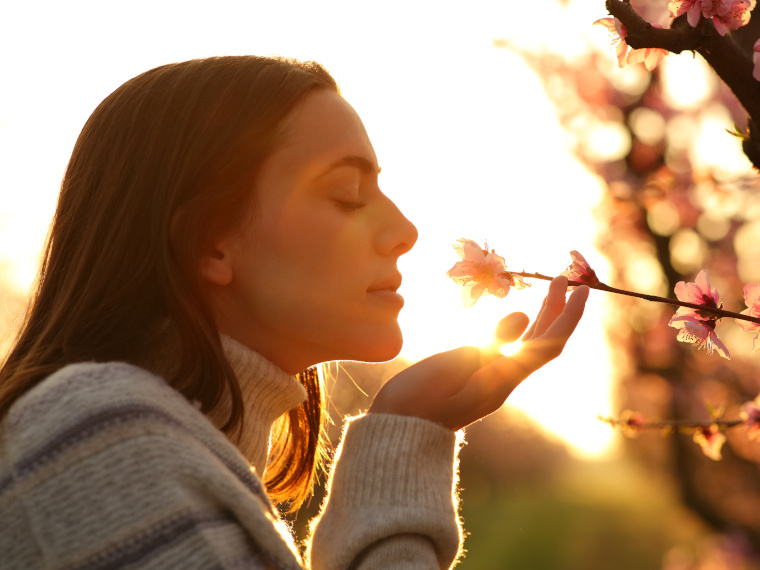 formations naturopathe