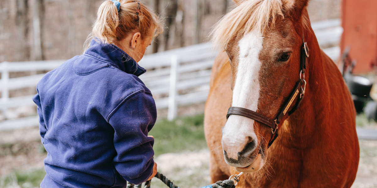 La prise de sang : un outil dans la gestion de l'alimentation du cheval. -  Techniques d'élevage