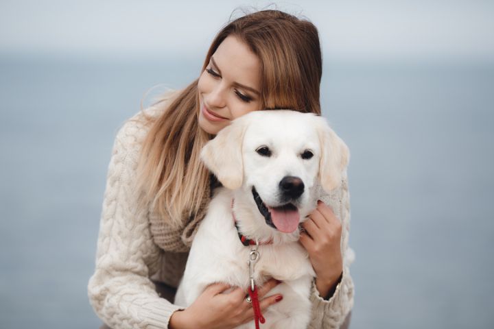 Loi contre la maltraitance animale