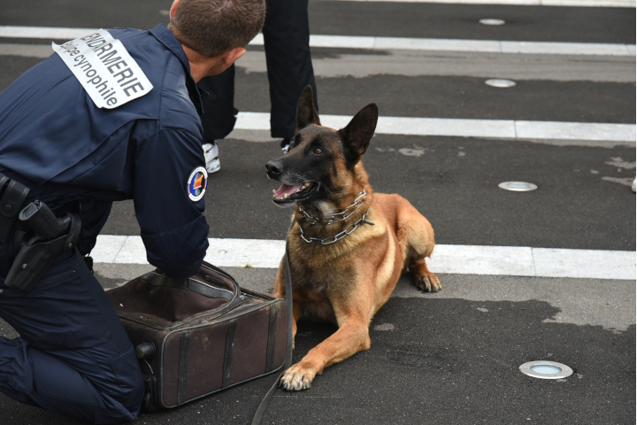 Maître-chien de la gendarmerie