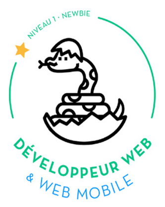 programme développeur web