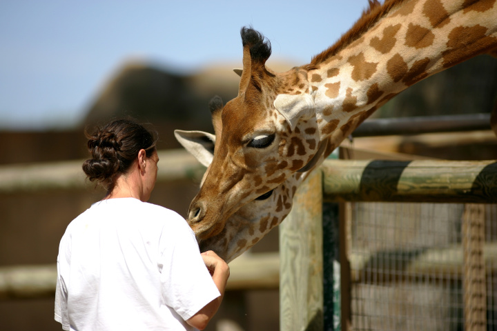 soigneur animalier