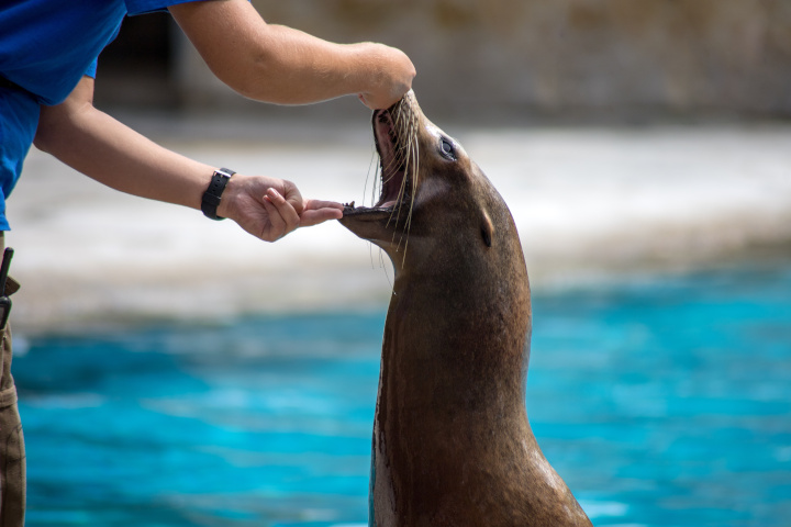 salaire soigneur animalier