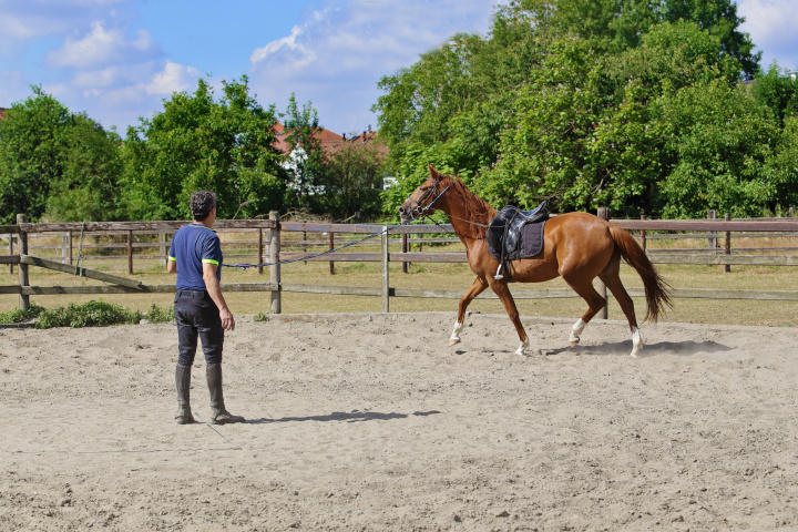 Comment personnaliser son tapis de selle ? - Petit Galop