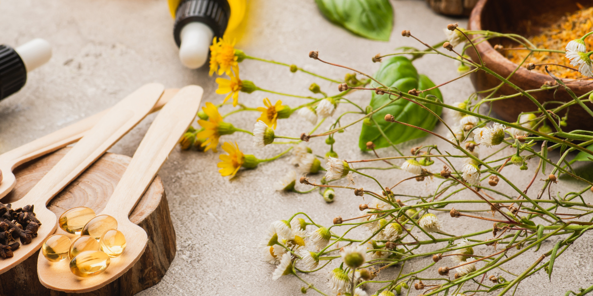 avis formation naturopathe Centre Européen de Formation
