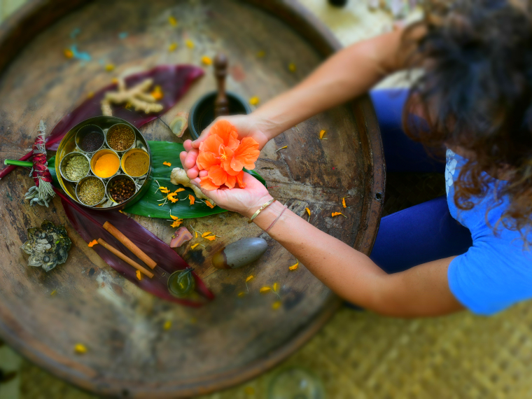 avis sur la formation Naturopathe du Centre Européen de Formation