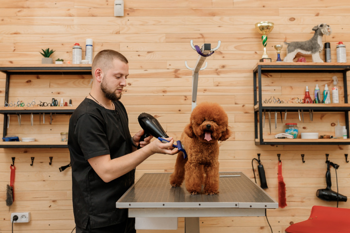 salaire toiletteur canin