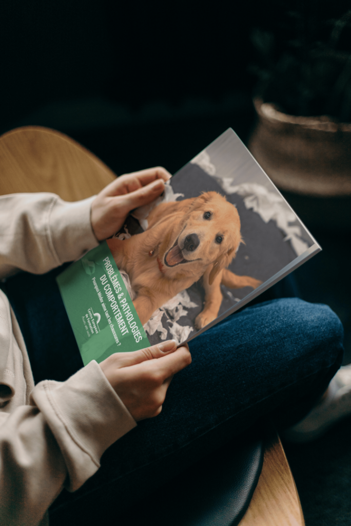 Support pédagogique - Métiers animaliers