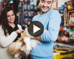img_tutoriel_conseiller_animalerie img_tutoriel_conseiller_animalerie