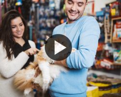img_tutoriel_conseiller_animalerie img_tutoriel_conseiller_animalerie